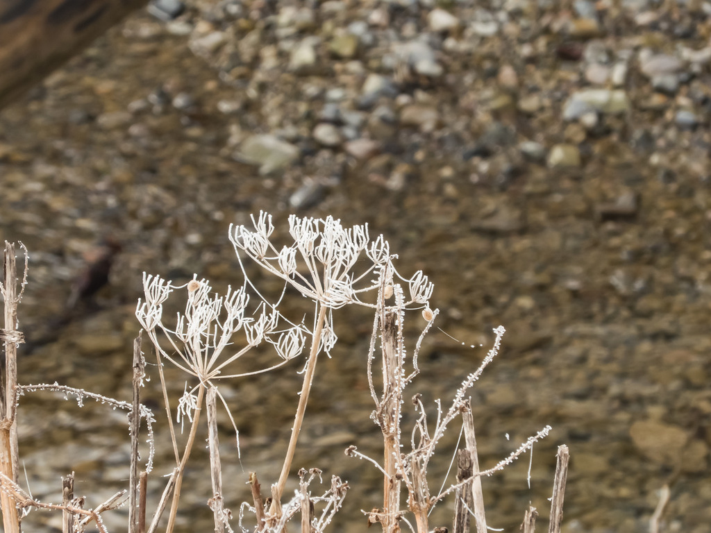 PSX_20230303_234126 | mtkfoto_ - Realisiert mit Pictrs.com