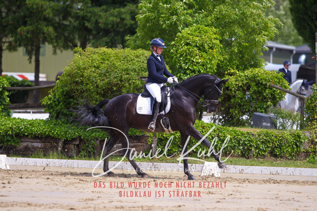 DKP40611 | Turniersportfotografie; Pferdefotografie; Dressurfotografie