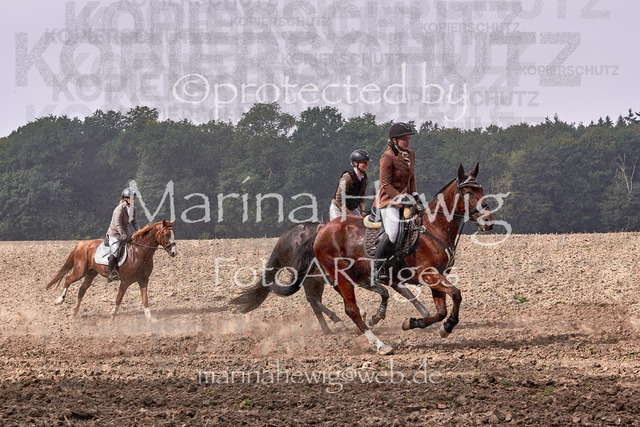09-23 Jagd Perdöl_MCH9834_Marina Hewig | Fotografie, FotoArt, PferdesportArt, Pferdesportfotografie, Landschaftsfotografie, Reisefotografie, Reise, Pferde - Realisiert mit Pictrs.com