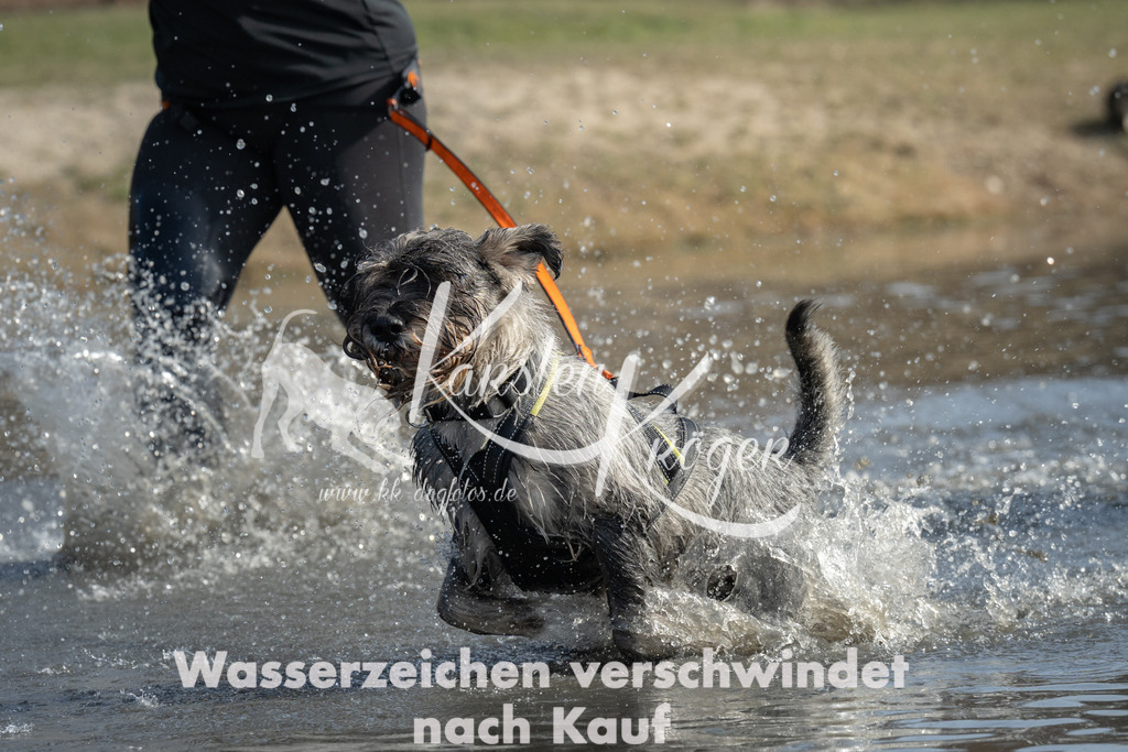 1234_ZZ90623 | kk-dogfotos