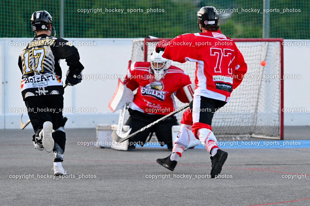Team Zehenthof vs. HSC Eagles 14.7.2023 | #17 Ambrosch Fabian, #77 Schummrig Stefan, #33 Mette Claudio, Tor Team Zehenthof