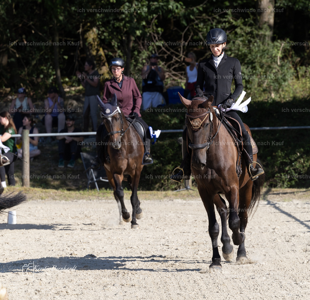 WE_Trail_32_KerstinBernhardt-22 | working equitationturnier fotograf videograf stoibphotography marixx film working equitation deutschland reitsport turnierfotografie eventfotografie equestrian events