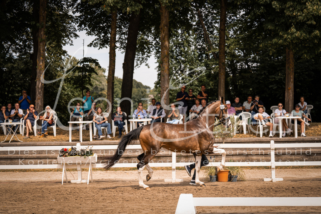 3.Fr00215 | Leoni Ertmer Photography - Realisiert mit Pictrs.com