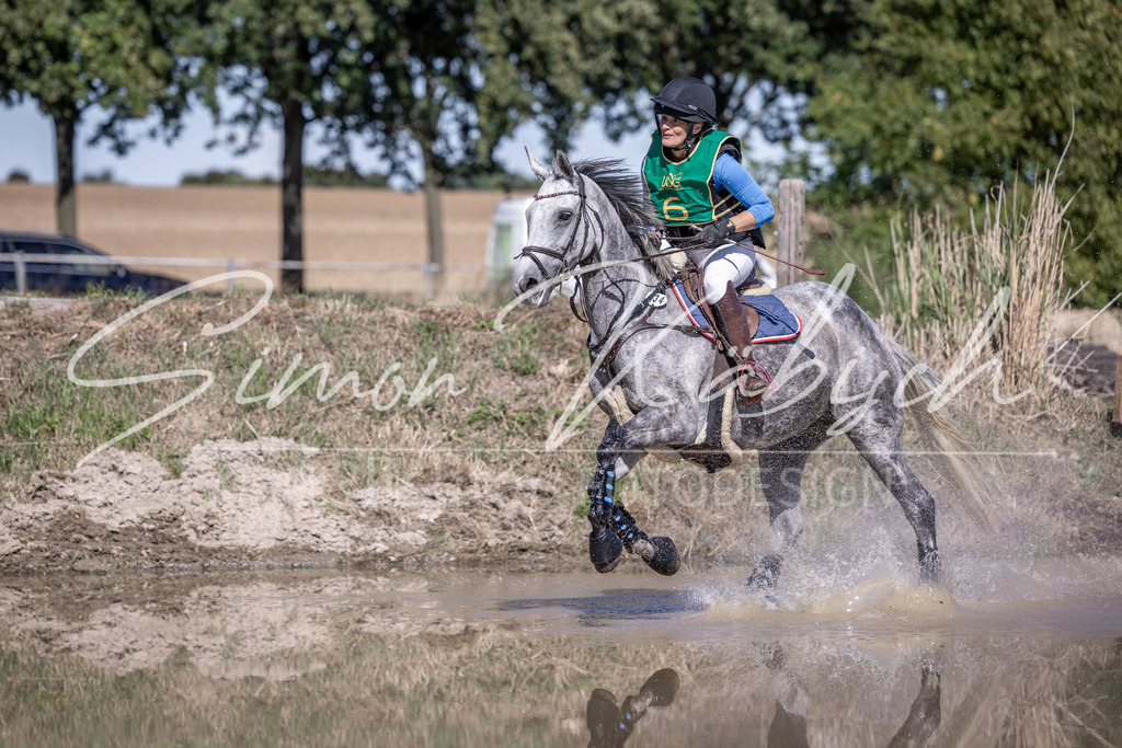 20260906-_3LI5411 | Tierfotografie Pferde, Hunde, Katzen, Haustiere.
Turnierfotografie Reitturniere, Reiten, Springreiten, Dressur in Hanau, dem Main-Kinzig-Kreis und dem Rhein-Main- Gebiet um Frankfurt