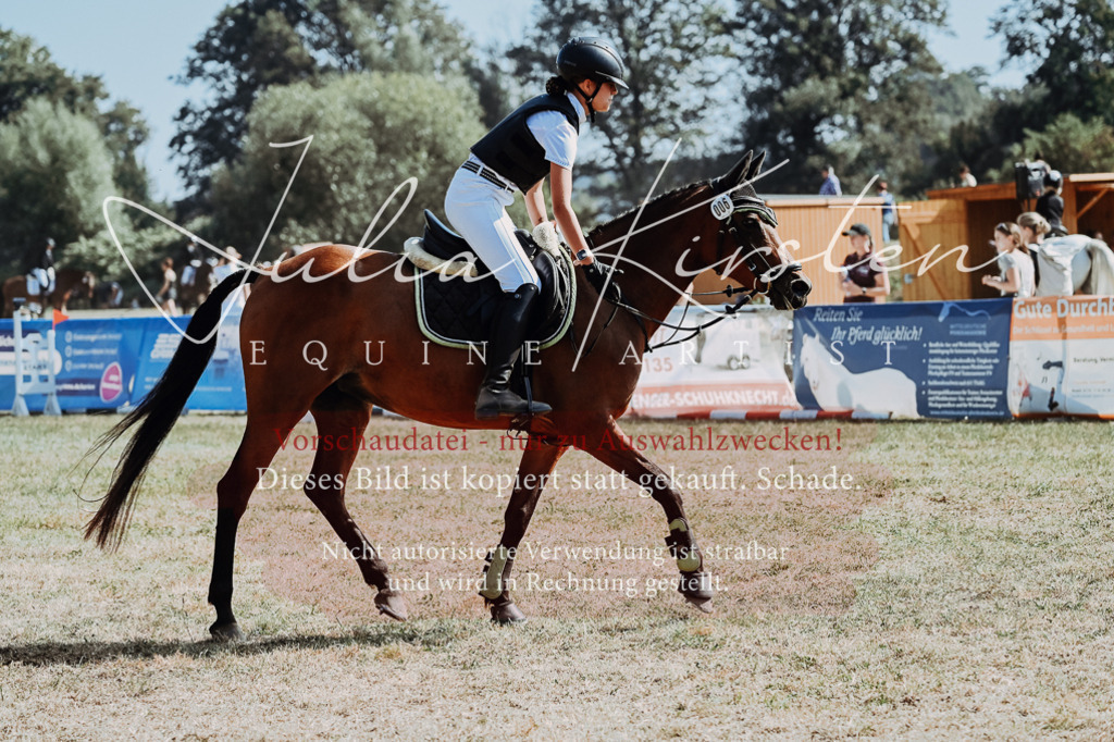 DSC_9423 | Pferde- und Turnierfotografie in Westsachsen. Pferdeportraits, Auftragszeichnungen und intuitive Kunst.