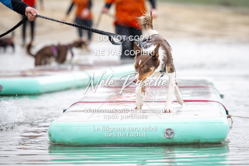 nelerasche_Hulsbeek_Sa1100-1130_545 | nelerasche