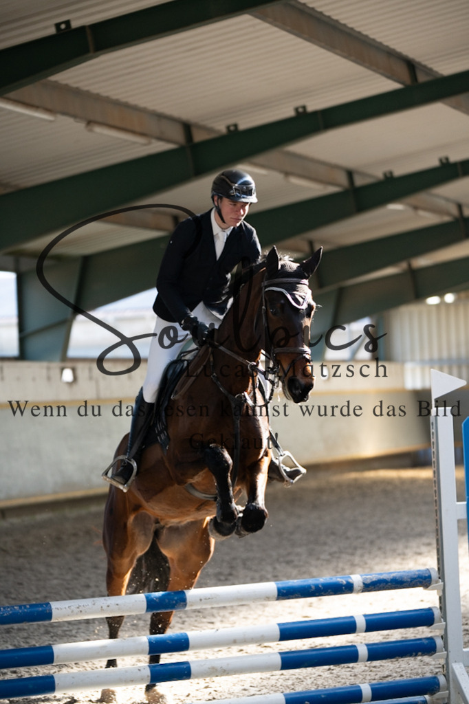 A7V06453 | Pferdefotograf