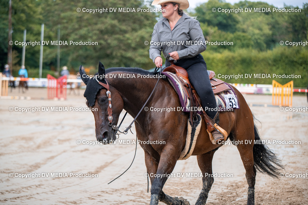 ZS2_4310 | dv-media-shop - Realisiert mit Pictrs.com