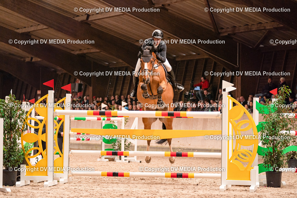 Springen Tag 3-476 | dv-media-shop - Realisiert mit Pictrs.com