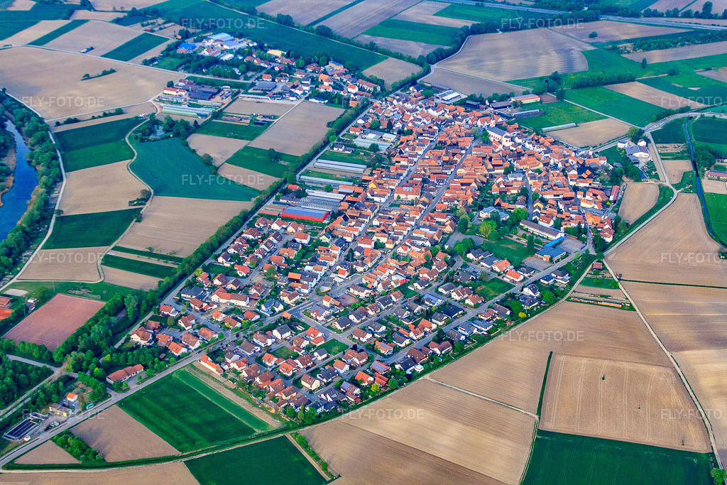 Luftbild: Dorfansicht aus Osten in Neupotz im Bundesland Rheinland-Pfalz in Deutschland.Foto: IMG_40373.jpg vom 24.04.2011 durch Werner Riehm/FLY-FOTO.deAuflösung des Originals: 4752 x 3168 px