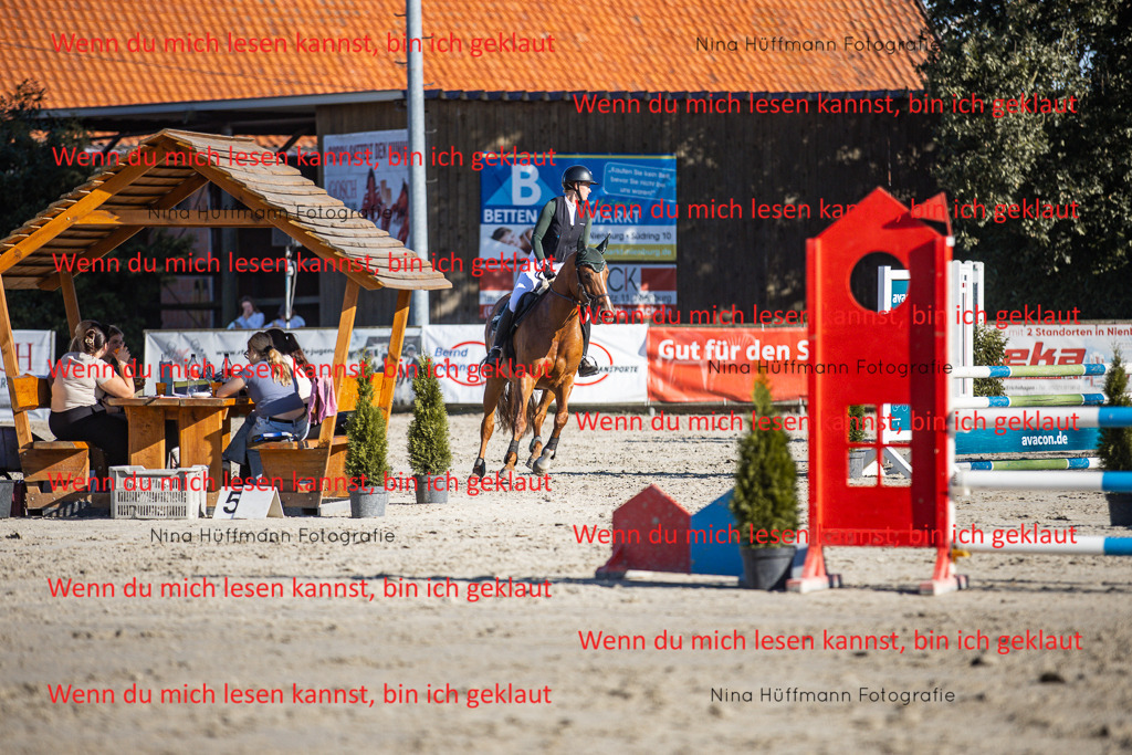 BK1A7618 | Turnierbilder Turnierfotos Nina Hüffmann Turnierfotografie Pferdefotografie Tierzeichnung Haustierzeichnung Pferdezeichnung Hundezeichnung Videograf  - Realisiert mit Pictrs.com
