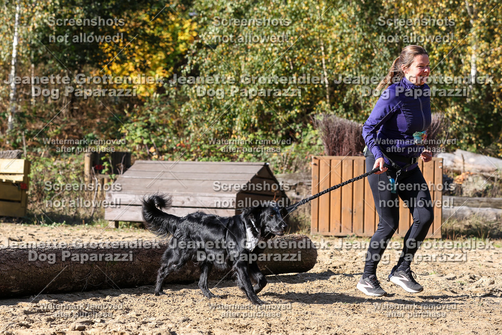 Dog Paparazzi - Strongdog 10-25-4776 | Dog Paparazzi Jeanette Grottendiek Fotografie & Videografie - Realisiert mit Pictrs.com