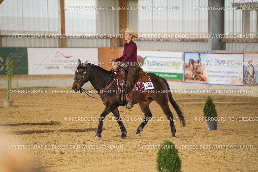 DSC03725 | Pferdegrafie