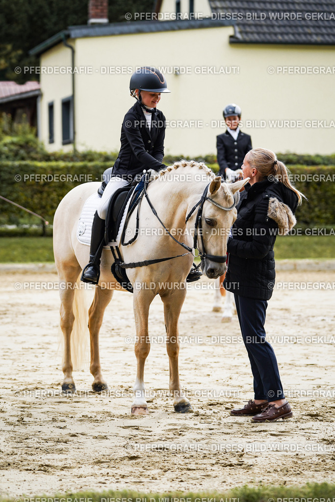 DSC05731 | Pferdegrafie