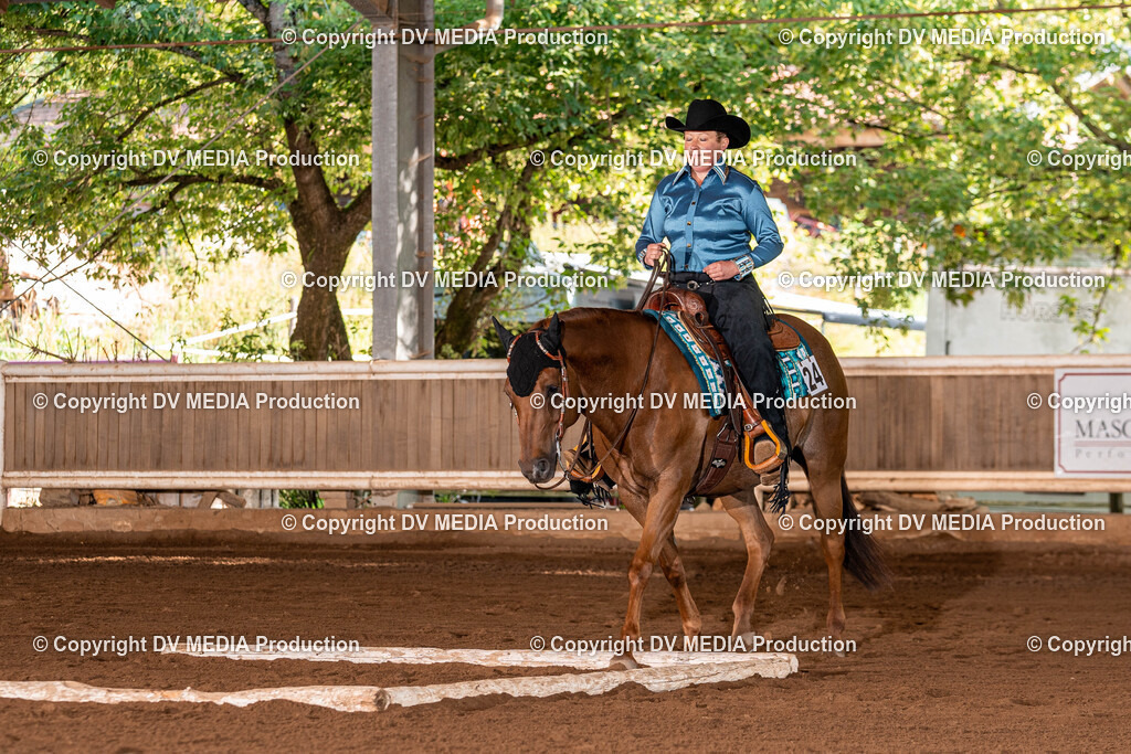 Erbach Tag 2-57 | dv-media-shop - Realisiert mit Pictrs.com