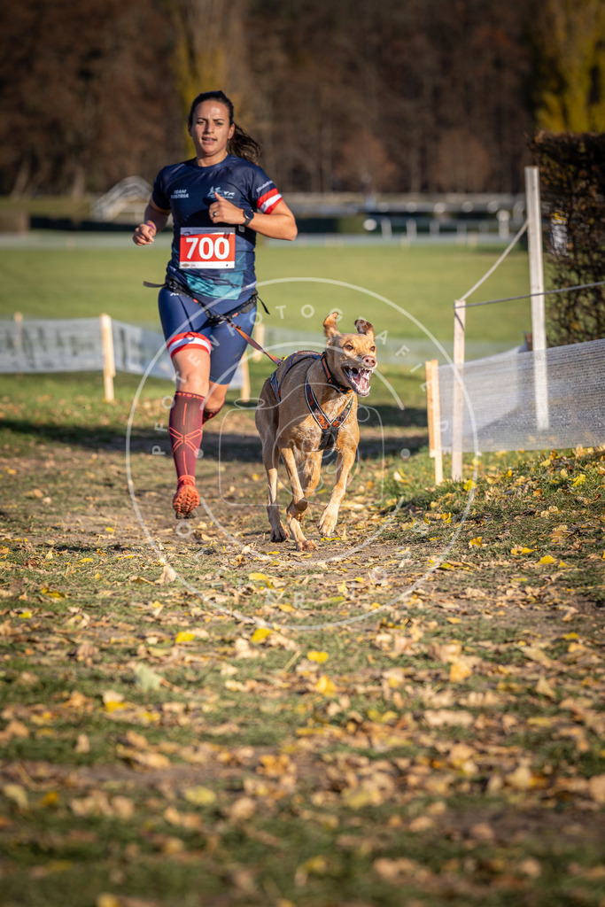 CaniXpix_DV3A1503 | Hundefotografie, Tierfotograf, Pfotenfotografie, Fotoshooting Hund, Hunde Portrait, Hundesport, Hundeportraits, Heideshooting, Hunde, Sportfotograf, Hundefotograf, Turnierhundsport, THS,  - Realisiert mit Pictrs.com
