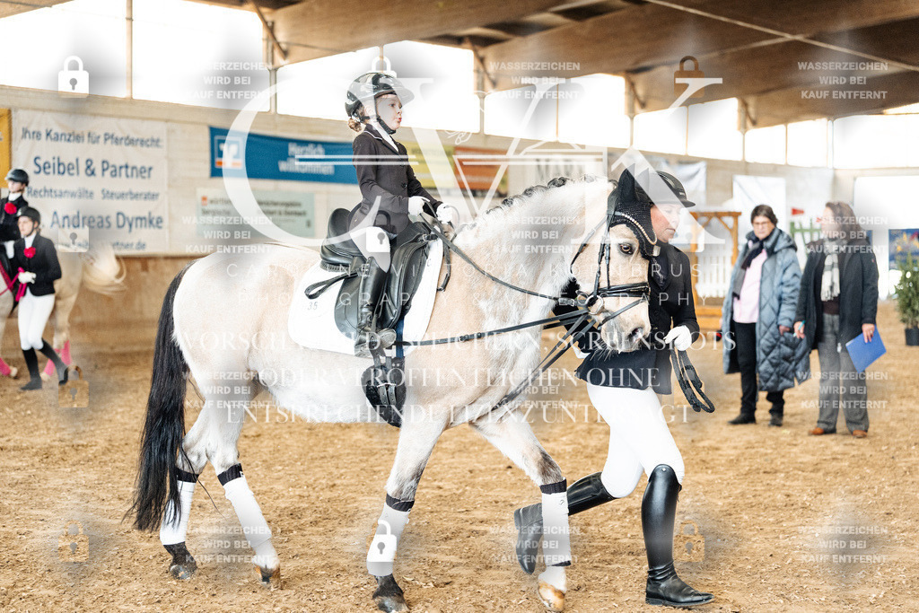 CK906032 | Turnierfotografie Pferdefotografie Trier Rheinland-Pfalz Pferdesport Reitsport Tierfotografie Sportfotografie Pferdevideo Pferdevideografie Equestrianvideography equestrianphotography  - Realisiert mit Pictrs.com