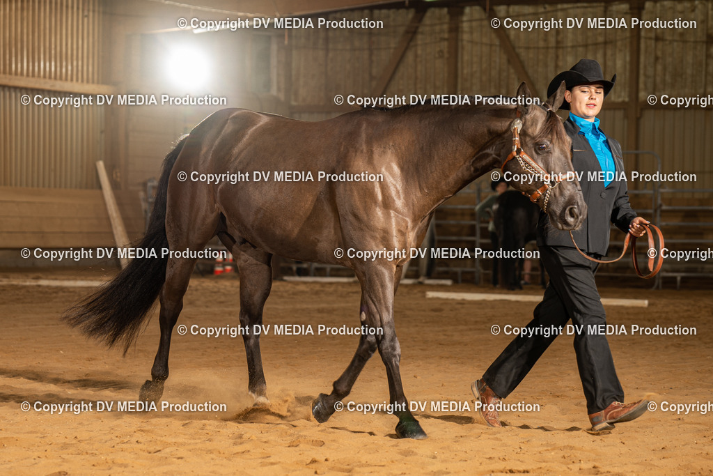 NID02465 | dv-media-shop - Realisiert mit Pictrs.com