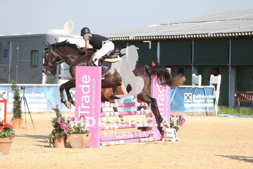 DL2Q0109 | Willkommen bei Brunnmayr - Design & Fotografie – Ihrem Spezialisten für Reitturniere und Pferdeveranstaltungen in Oberösterreich, Salzburg und Bayern! Seit über 17 Jahren sind wir leidenschaftlich dabei.