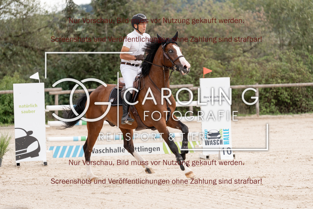 DSC06627 | Springturnier_Teamchallege_Talheim_2026, Gerhard_Riehle, Neugschwents_Cornado
