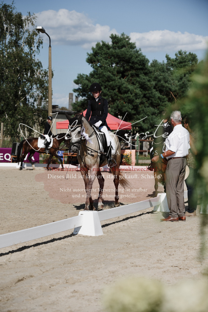 DSC_0224 | Pferde- und Turnierfotografie in Westsachsen. Pferdeportraits, Auftragszeichnungen und intuitive Kunst.