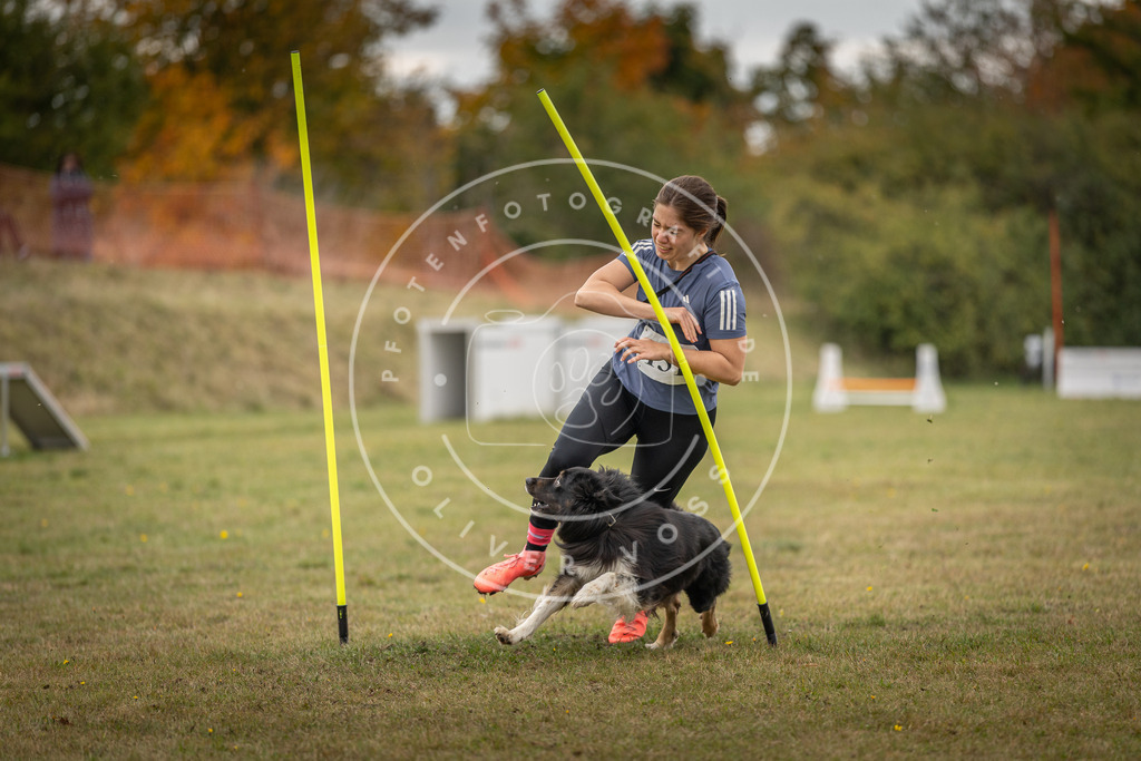 Pfotenfotografie_DV3A7508 | Hundefotografie, Tierfotograf, Pfotenfotografie, Fotoshooting Hund, Hunde Portrait, Hundesport, Hundeportraits, Heideshooting, Hunde, Sportfotograf, Hundefotograf, Turnierhundsport, THS,  - Realisiert mit Pictrs.com