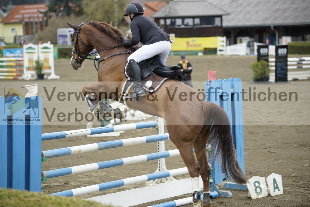 _DSC7107 | equestrian-live-com