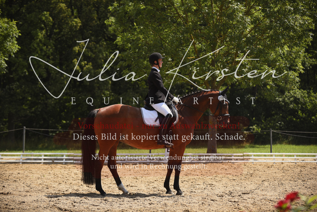 DSC_1015 | Pferde- und Turnierfotografie in Westsachsen. Pferdeportraits, Auftragszeichnungen und intuitive Kunst.
