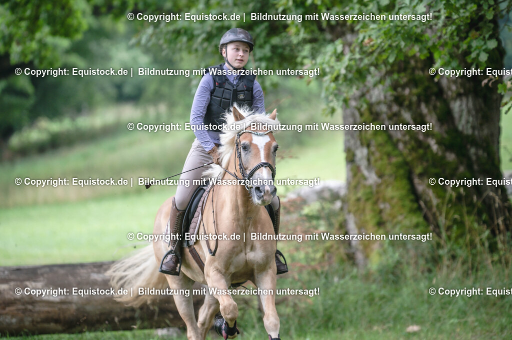 20250726_Vielseitigkeitslehrgang-Marbach_0224 | Foto: Thomas Hartig