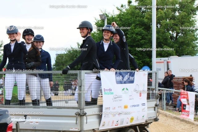 OHT1121 | Fotografie, Tiere, Hunde, Katzen, Pferde, Sportfotografie, Fotosession, Tierfotografie, Turnierfotografie, Fotografin, Fotograf - Realisiert mit Pictrs.com