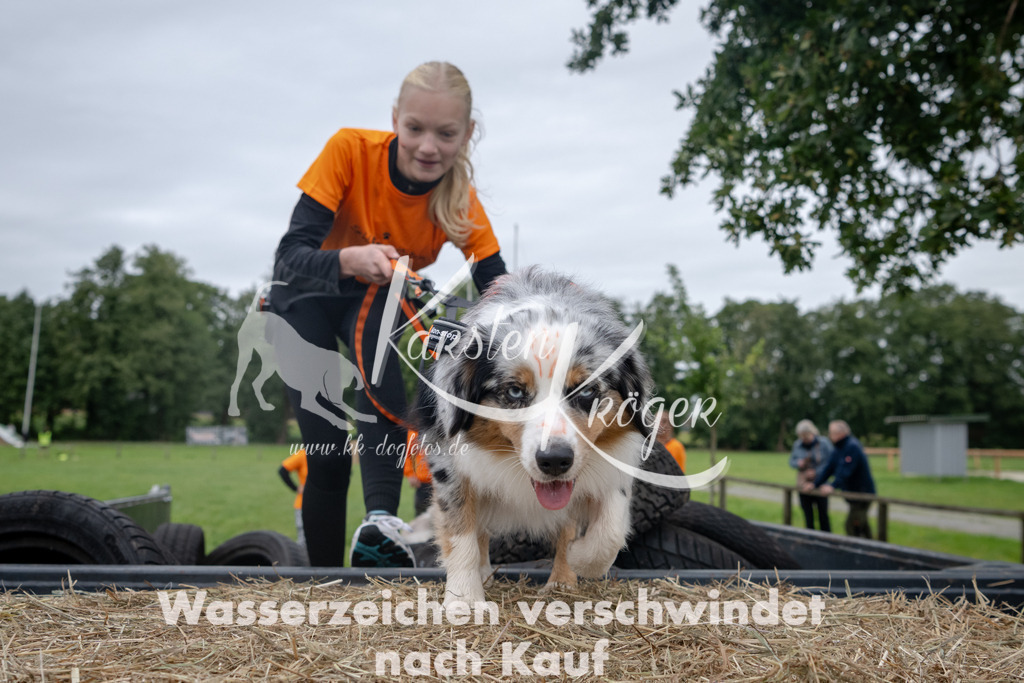 1206_ZZ94273 | kk-dogfotos