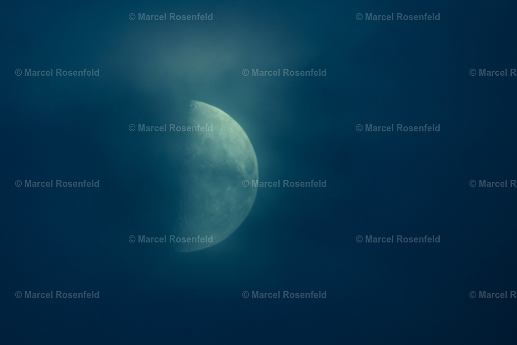 _DSC1515 | foto-rosenfeld