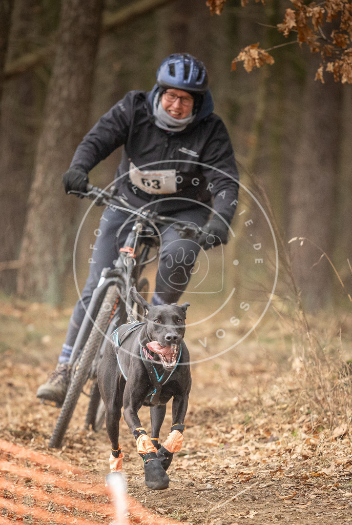 Pfotenfotografie_DV3A3237 | Hundefotografie, Tierfotograf, Pfotenfotografie, Fotoshooting Hund, Hunde Portrait, Hundesport, Hundeportraits, Heideshooting, Hunde, Sportfotograf, Hundefotograf, Turnierhundsport, THS,  - Realisiert mit Pictrs.com