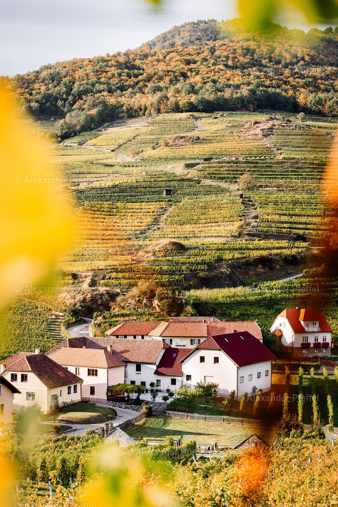 foto_c_pfeffel-partner-0076-R52_0258-Bearbeitet | alexander-pfeffel - Realisiert mit Pictrs.com