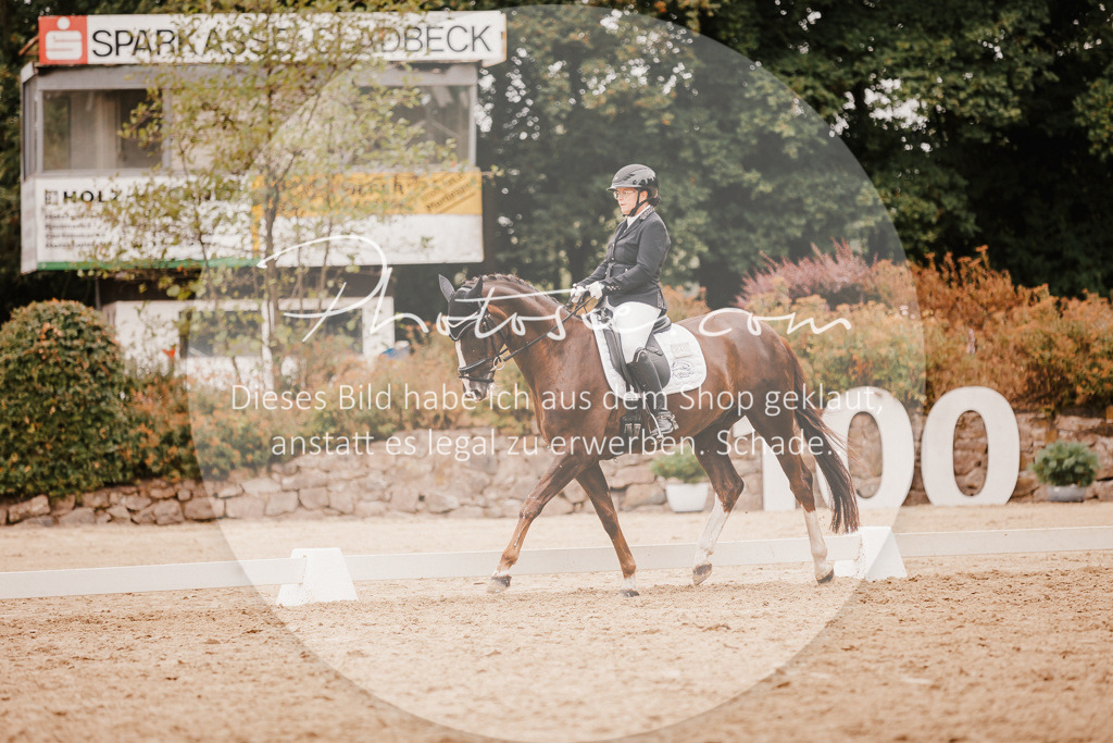 3I6A5864 | Stimmungsvolle Portraits und Reitsportfotografie im Ruhrgebiet und im Münsterland.

Pferdefotografie, Hundefotografie, Tierfotografie, Reportagen, Portraits von Tier und Mensch, Turnierfotografie in Bochum, Recklinghausen, Marl, Haltern am See, Dülmen.. - Realisiert mit Pictrs.com