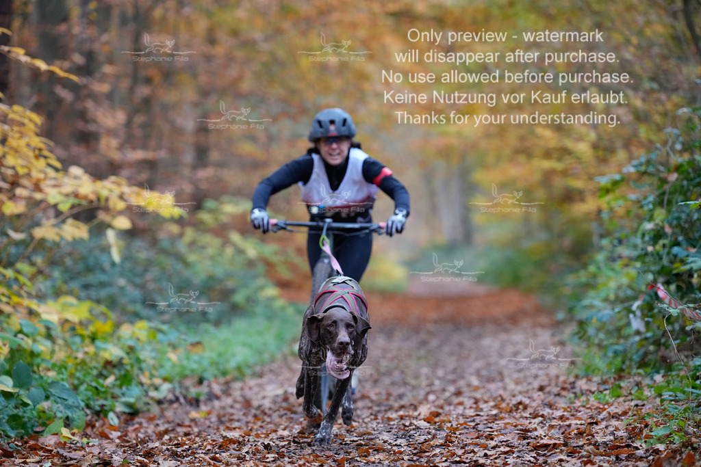 Scooter_So-6 | stephaniefillaphotographie - Realisiert mit Pictrs.com