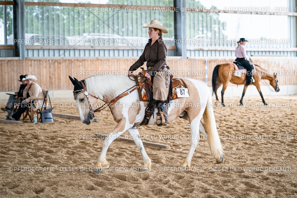 DSC09145 | Pferdegrafie