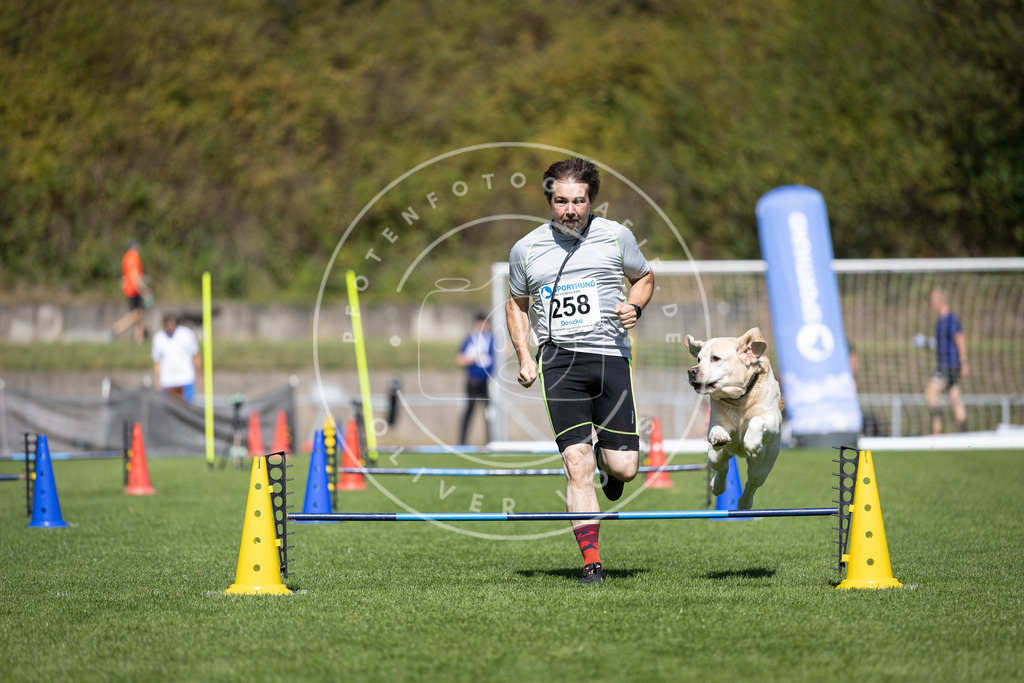 Pfotenfotografie_DV3A6417 | Hundefotografie, Tierfotograf, Pfotenfotografie, Fotoshooting Hund, Hunde Portrait, Hundesport, Hundeportraits, Heideshooting, Hunde, Sportfotograf, Hundefotograf, Turnierhundsport, THS,  - Realisiert mit Pictrs.com