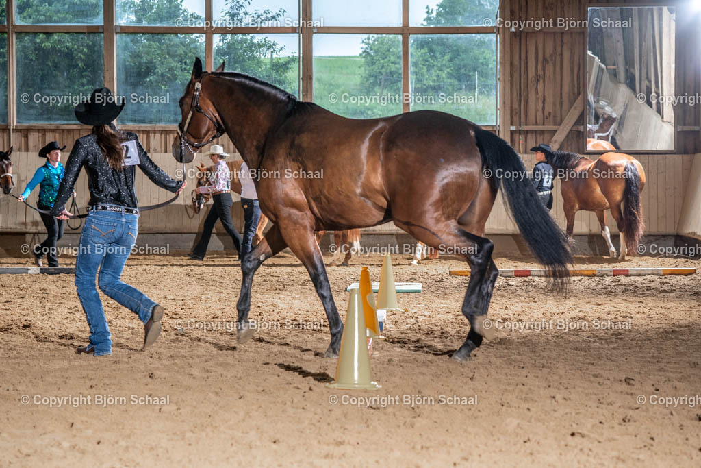 SBS03811 | BS-foto
