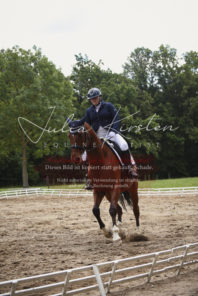 DSC_0835 | Pferde- und Turnierfotografie in Westsachsen. Pferdeportraits, Auftragszeichnungen und intuitive Kunst.