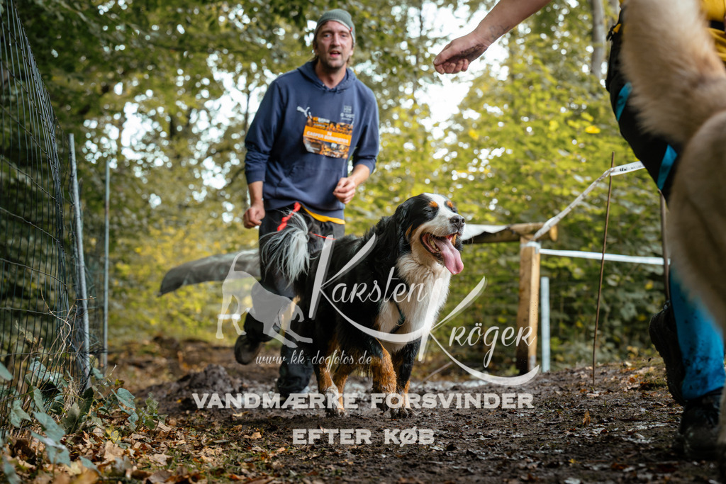 1427DZ6_2306Z6 | kk-dogfotos