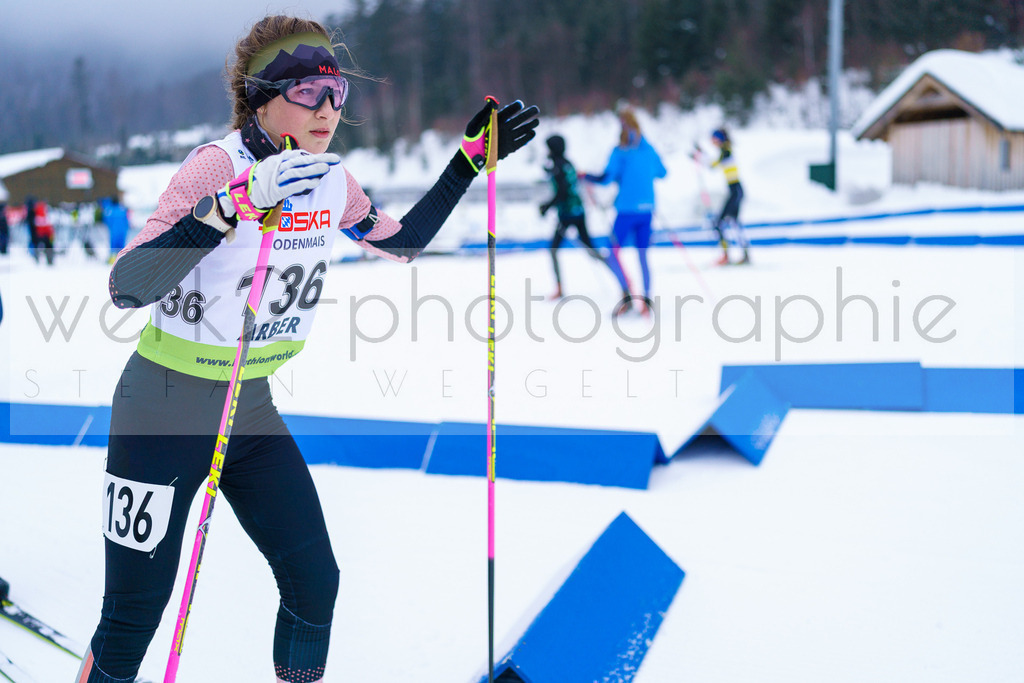 DSC Arber | Bayerischer Wald am 9. bis 12. Februar 2023
