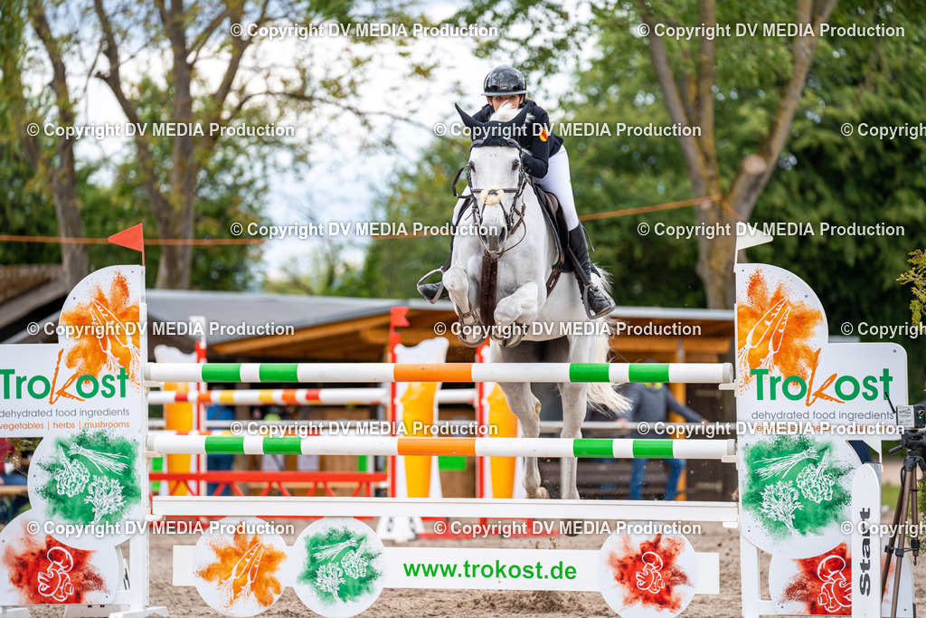 Eppelheim Tag 1-252 | dv-media-shop - Realisiert mit Pictrs.com