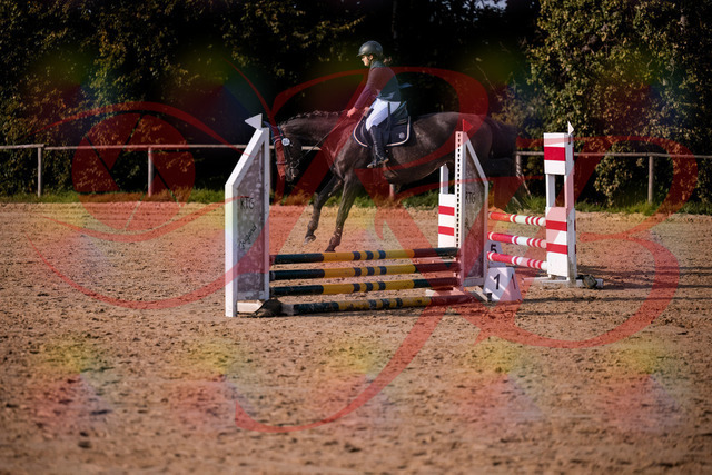 2026_10_03_Siefer-Hof_160134_Z81_82512317 | Professionelle Reitsport-, Turnier- und Eventfotografie von Robert Broda. Galerien mit ausgewählten und bearbeiteten Bildern direkt online ansehen und bestellen.