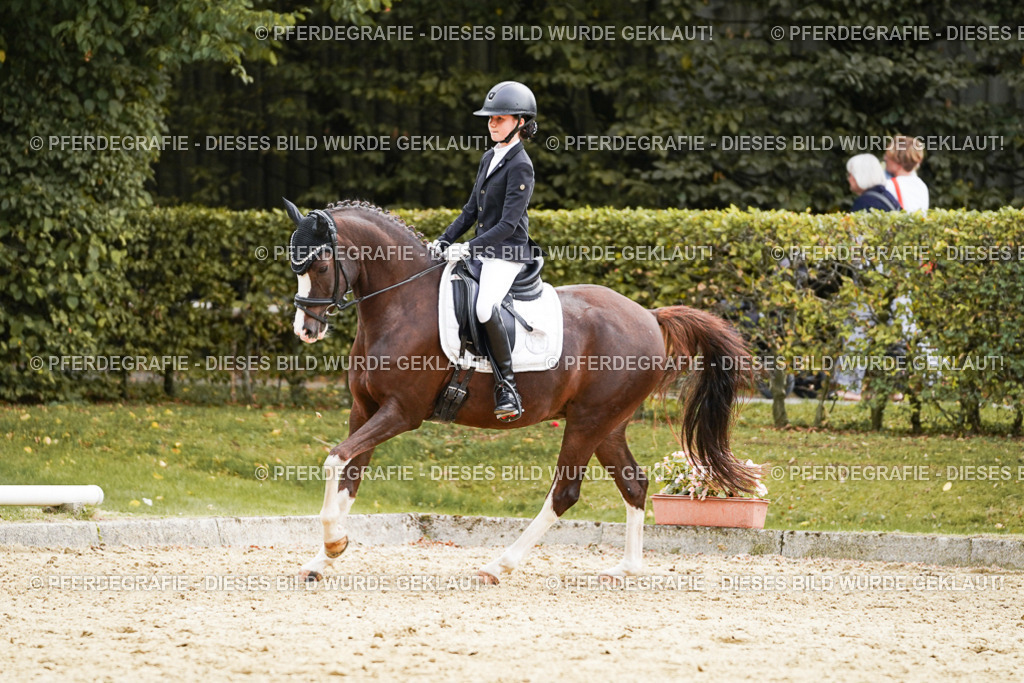 DSC00931 | Pferdegrafie