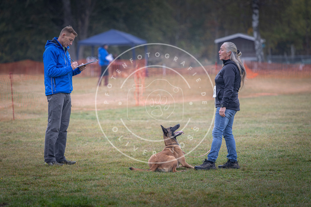 Pfotenfotografie_DV3A9050 | Hundefotografie, Tierfotograf, Pfotenfotografie, Fotoshooting Hund, Hunde Portrait, Hundesport, Hundeportraits, Heideshooting, Hunde, Sportfotograf, Hundefotograf, Turnierhundsport, THS,  - Realisiert mit Pictrs.com