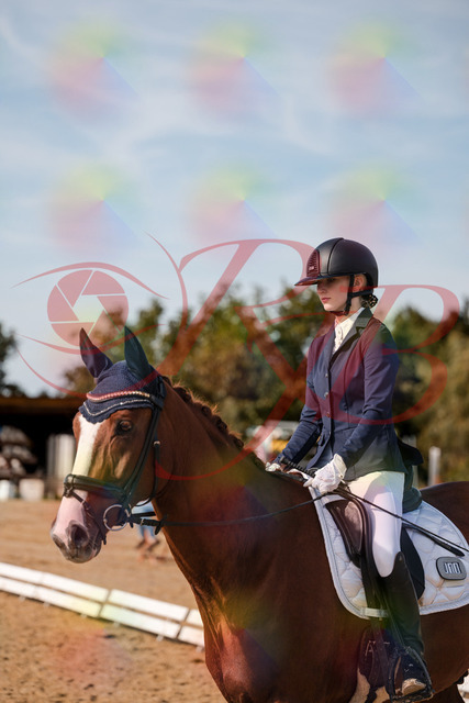 2026_10_03_Siefer-Hof_132923_Z63_91303354 | Professionelle Reitsport-, Turnier- und Eventfotografie von Robert Broda. Galerien mit ausgewählten und bearbeiteten Bildern direkt online ansehen und bestellen.
