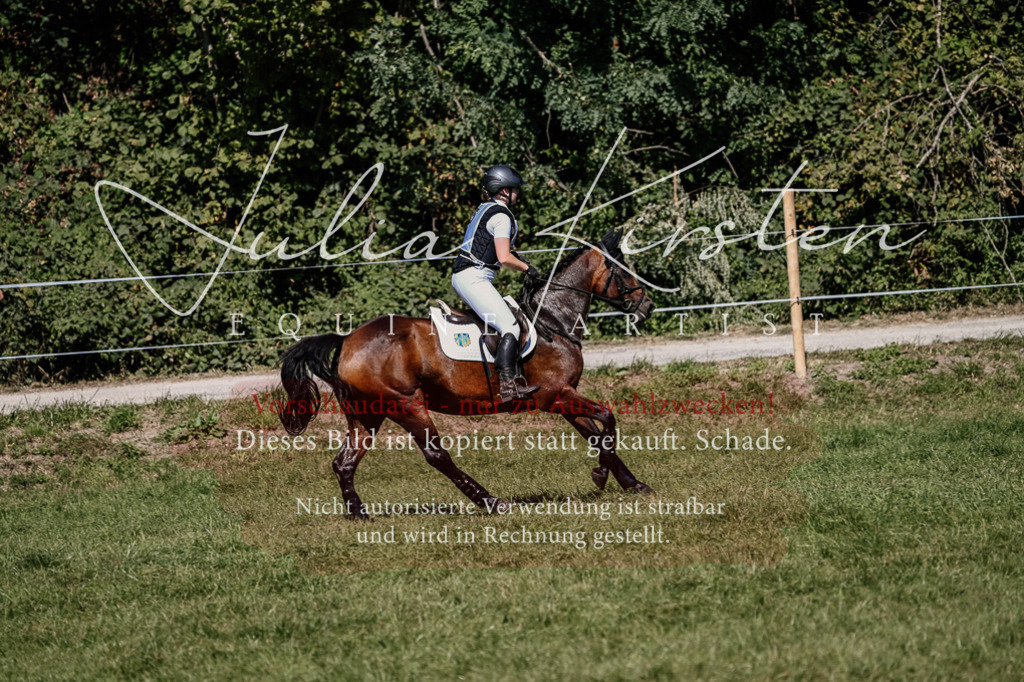 DSC_1515 | Pferde- und Turnierfotografie in Westsachsen. Pferdeportraits, Auftragszeichnungen und intuitive Kunst.