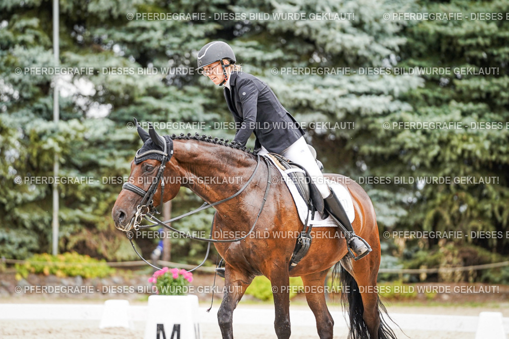 DSC04714 | Pferdegrafie