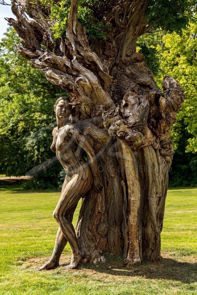 NatureArt-AKAZIE_9763b | Alter Baum und junge Lady | #009 | Modell: Tatjana Heinz | Foto: Andreas P. - Realisiert mit Pictrs.com